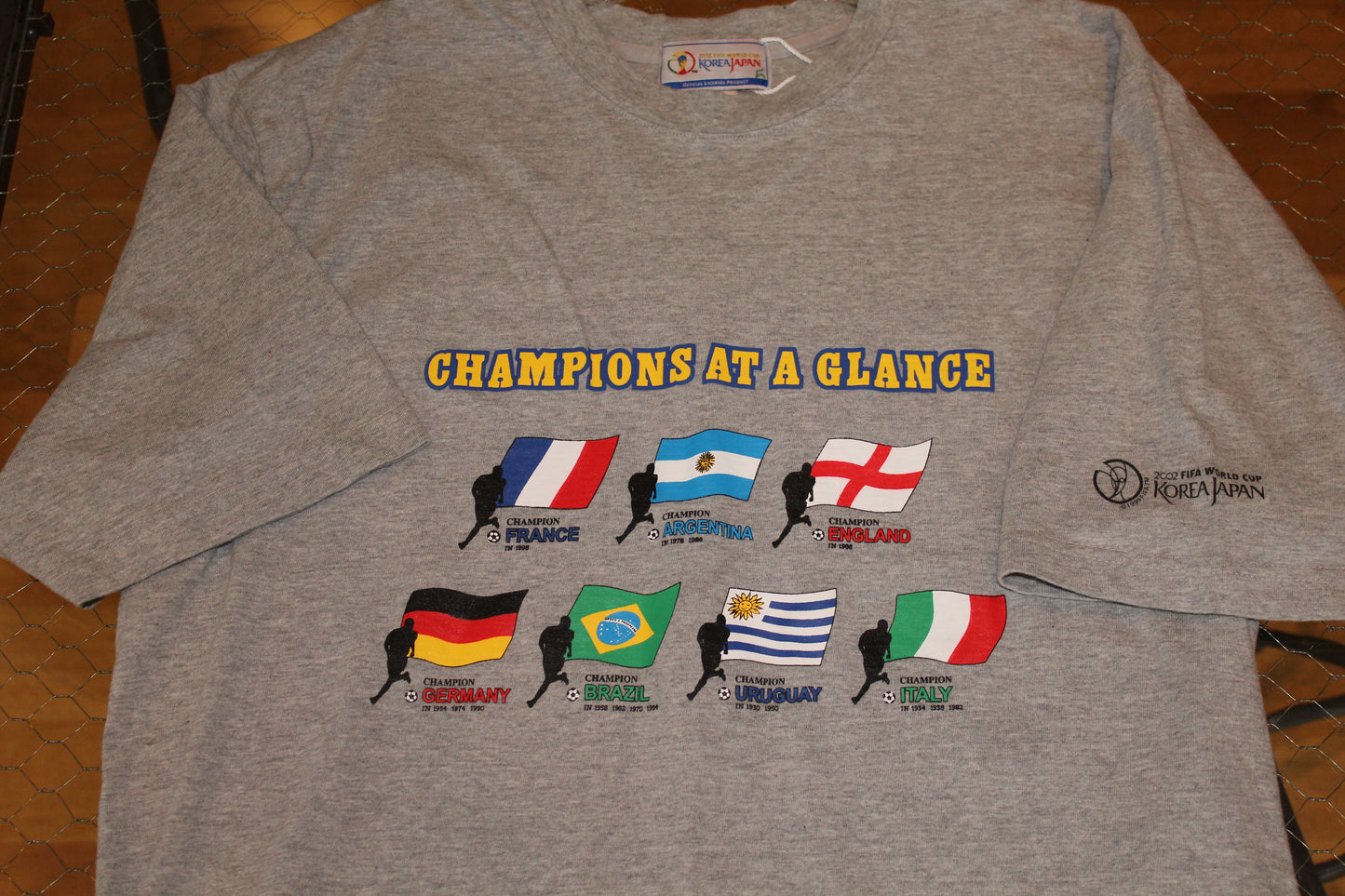 2002 World Cup "Champions at a Glance"